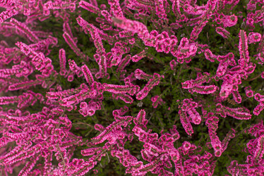 Similar image 21936605