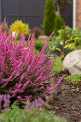 Similar image 21936589