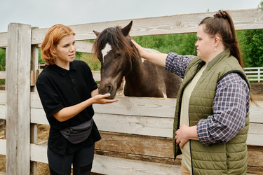 Similar image 21923819