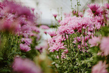 Similar image 21920531