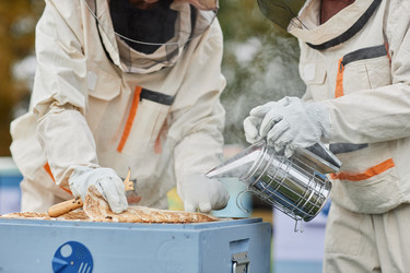 Similar image 21932111