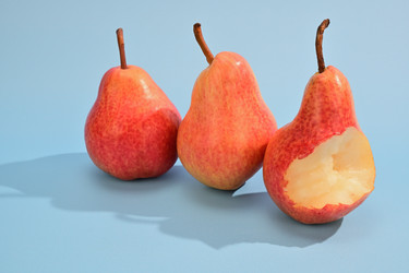 Similar image 21932991