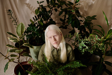 Similar image 21930964