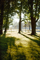 Similar image 21927735