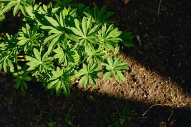 Similar image 21929042