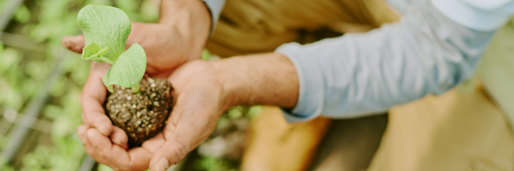 Similar image 21919500