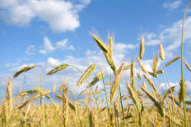 Similar image 21945310