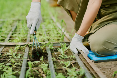 Similar image 21931511