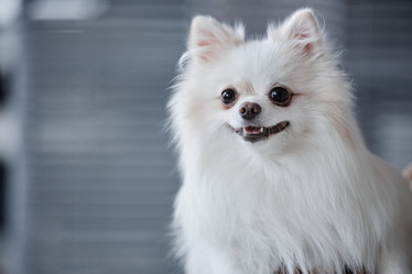 Similar image 21920975