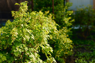 Similar image 21929295