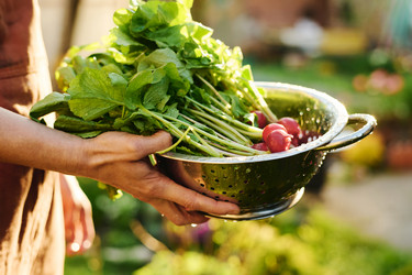 Similar image 21924701