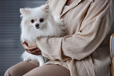 Similar image 21923437