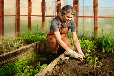 Similar image 21921224