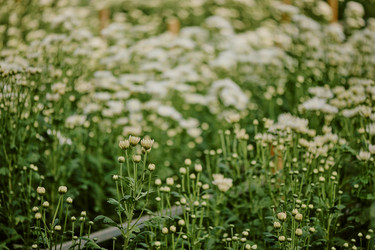 Similar image 21925954