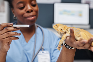 Similar image 21922623