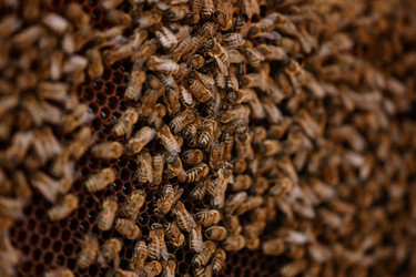 Similar image 21925654