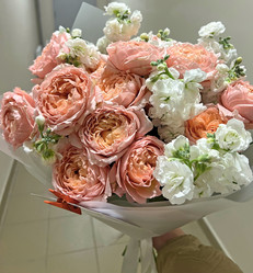 Similar image 21937599