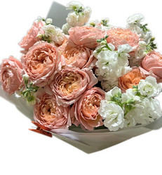 Similar image 21937600