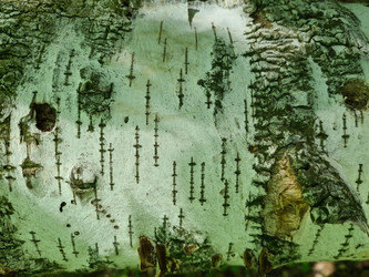 Similar image 21933175