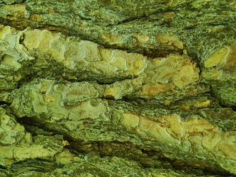 Similar image 21933176