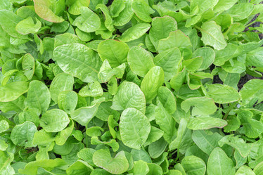 Similar image 21933781