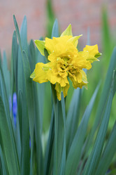 Similar image 21933789