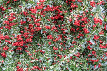 Similar image 21933794