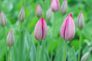 Similar image 21933797