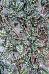 Similar image 21933800