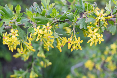 Similar image 21933804