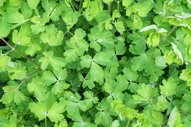 Similar image 21934021