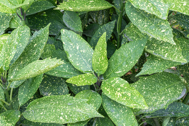 Similar image 21934022