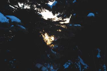 Similar image 21942243