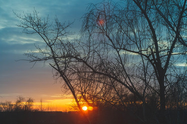 Similar image 21942244