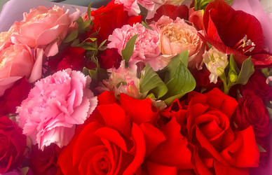 Similar image 21937601