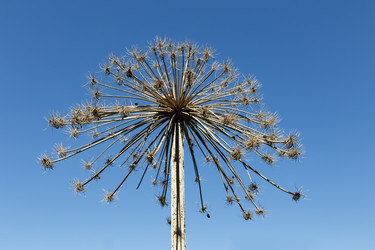 Similar image 21945501