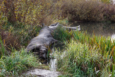 Similar image 21945503