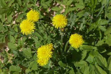 Similar image 21945504