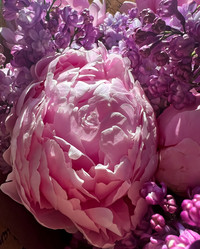 Similar image 21937605