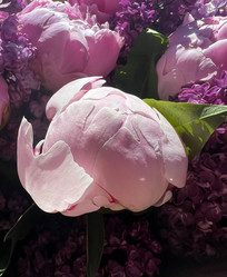 Similar image 21937606