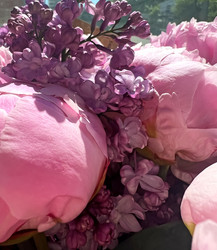 Similar image 21937607