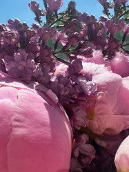 Similar image 21937608