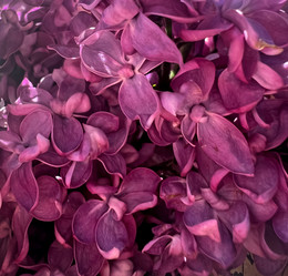 Similar image 21937609