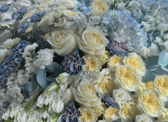 Similar image 21937610