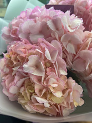 Similar image 21937611