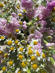 Similar image 21937614