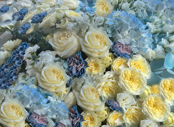 Similar image 21937618