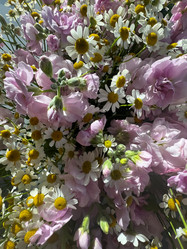 Similar image 21937619