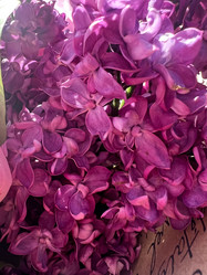 Similar image 21937620