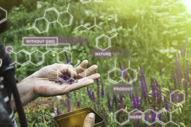 Similar image 21942255